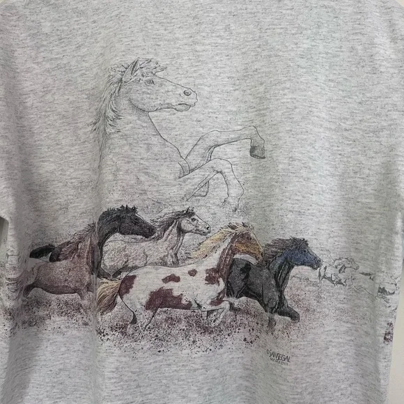 Gray Dixie Stampede Pigeon Forge T-Shirt - Picture 5 of 5